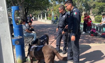 Participarán más de 850 policías en operativo del Buen Fin en Saltillo