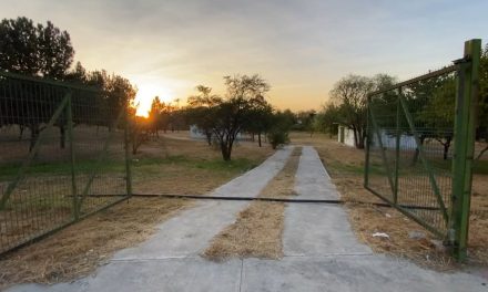 Roban rejillas del Bosque Urbano