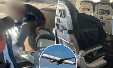 Video: Pasajero destruye su asiento en pleno vuelo y termina amarrado