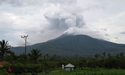 Tragedia en Indonesia: al menos 10 muertos por erupción volcánica en la isla de Flores