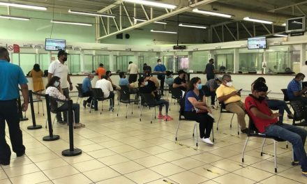 Volverán a activar proceso de plaqueo de regularizados
