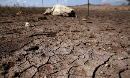Requieren programa emergente contra la sequía