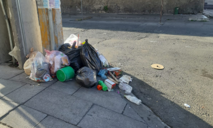 Vecinos de Ramos Arizpe reportan la presencia de ratas con basura acumulada