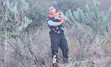 Bebé sobrevive 12 horas en un barranco junto al cuerpo de su padre tras una volcadura