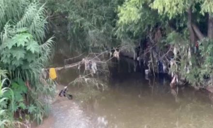 Con 33 fallecimientos por dengue cede la enfermedad en Coahuila  baja la incidencia