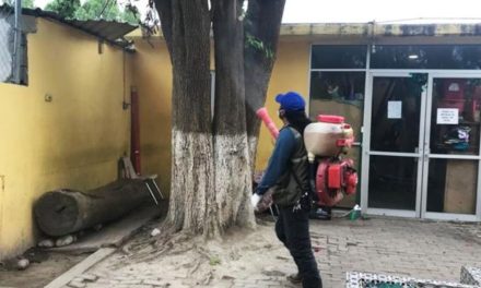 Detectan dos nuevos casos de dengue en la región Fronteriza