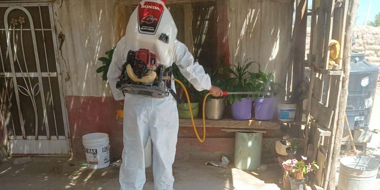 Contagios de dengue van a la baja en la región