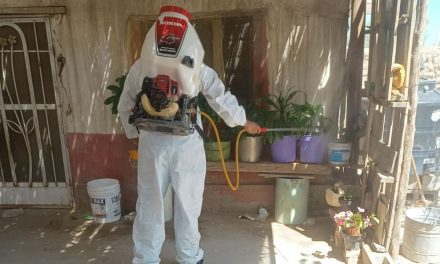 Contagios de dengue van a la baja en la región