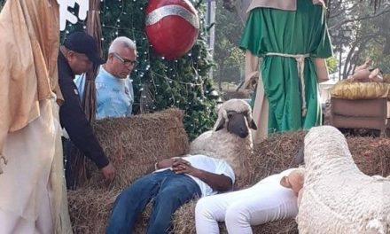 ‘Tazos dorados’ terminan borrachera dormidos en el pesebre decorativo del centro de Tampico