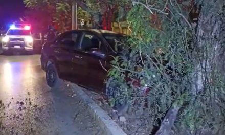 Abandonan auto sobre camellón en la 26 de marzo luego de chocar contra un árbol