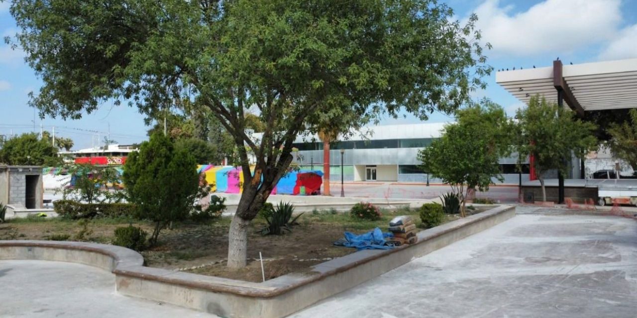 Siembran árboles en la plaza Benjamín Canales