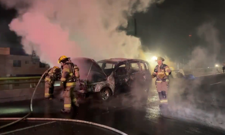 Saltillo: Camioneta queda reducida a cenizas, falla mecánica originó incendio
