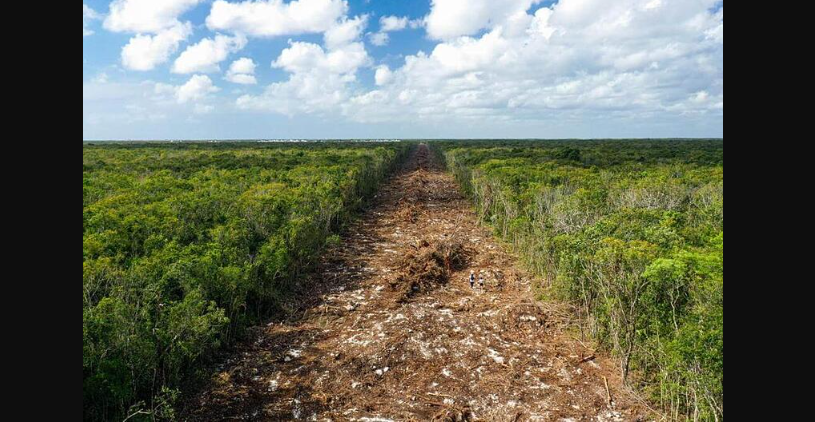 Greenpeace cuestiona transparencia del Tren Maya tras su inauguración
