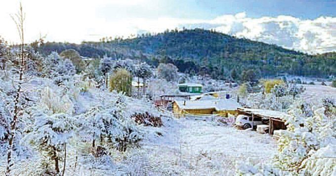 ¡Llegó la nieve! Sierra de Zacatecas se pinta de blanco con la primera nevada