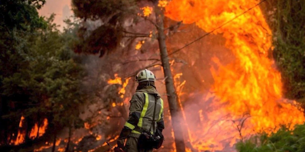 2024: El año con más incendios forestales en México