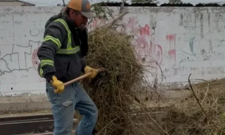 Refuerza Sabinas trabajos de limpieza