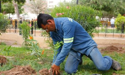 Impulsarán la educación ambiental en comunidades