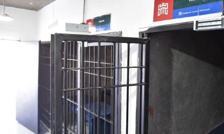Tribunales administrativos registran 39 detenciones durante los primeros días de 2025