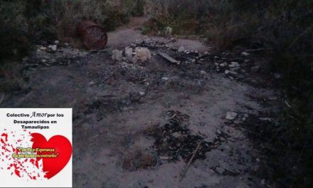 Madres buscadoras localizan campos de exterminio en Reynosa