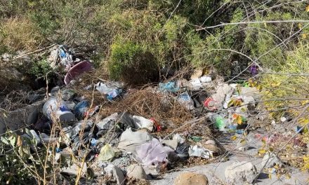 Convierten arroyo en basurero en la colonia Hacienda Narro