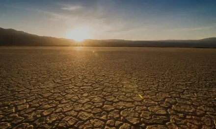 El cambio climático podría causar 2.3 millones de muertes en Europa