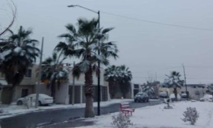 Frío se mantiene en Saltillo las próximas horas… se esperan nevadas y heladas
