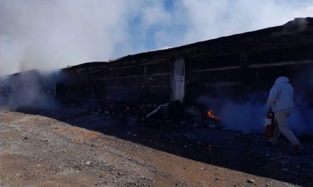 Incendio en granjas de Bachoco deja miles de aves muertas en Ramos Arizpe