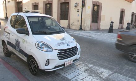 La Policía Turística da atención al público