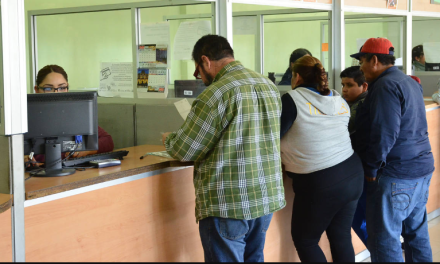 Forman grandes filas para el pago de los derechos de control vehicular