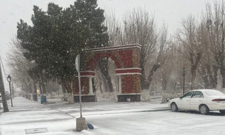 ¿Y en Saltillo? Segunda tormenta invernal azota el norte del país