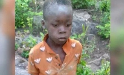 Niño de 7 años sobrevive cinco días en parque lleno de leones  en Zimbabue