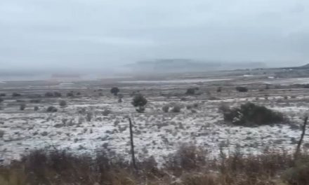 No hubo nieve en la Sierra de Arteaga