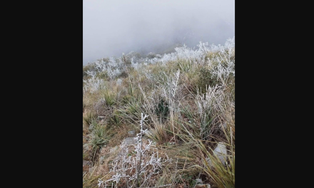 Onda gélida cubre de hielo el Cerro del Potosí en Galeana, Nuevo León
