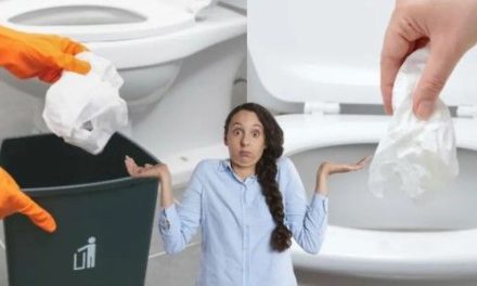 Profeco aclara el debate: ¿El papel higiénico se tira en la taza o en el bote?
