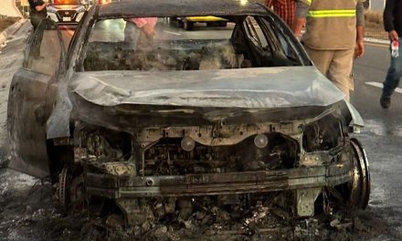 Se incendia automóvil en carretera
