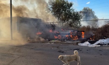 Se incendia terreno baldío en la colonia San Ramón