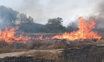 Tres incendios en menos de 3 horas en Parras