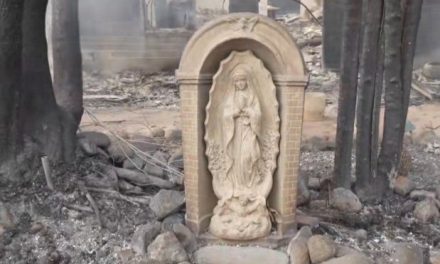 ¡Milagro!  Estatua de la Virgen de Guadalupe queda intacta tras devastadores incendios en Los Ángeles