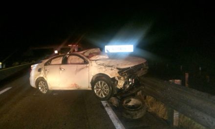 Vuelcan tras chocar contra vaca en la autopista Saltillo-Torreón