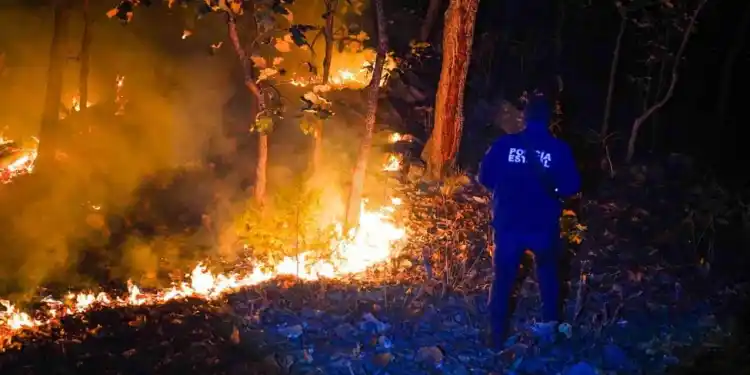 Accidente aéreo en La Yesca, Nayarit, deja seis muertos