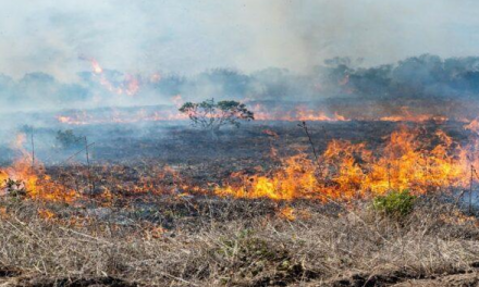 Refuerzan estrategias contra incendios forestales en Coahuila