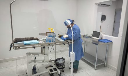 Promueve Carlos Villarreal la tenencia responsable de mascotas