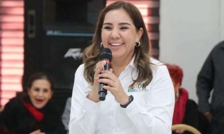 Implementan programa de Fisioterapia y Rehabilitación a Domicilio en SJS