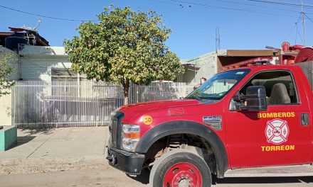 Torreón: Atienden 45 reportes de enjambres de abejas en lo que va del año
