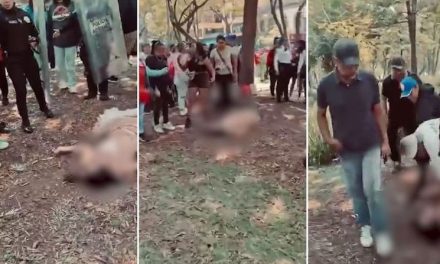 Mujer trans es brutalmente golpeada en la Alameda Central de la DMX