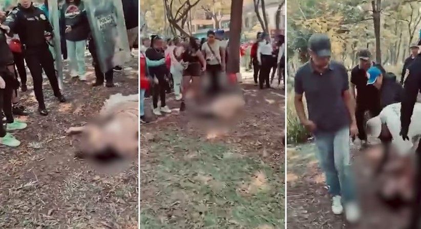Mujer trans es brutalmente golpeada en la Alameda Central de la DMX
