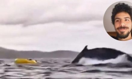 Video: Ballena traga a joven mientras navegaba en costas chilenas y luego lo escupe
