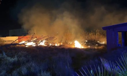Bomberos de Saltillo sofocan incendio  en baldío