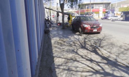 Están en pésimas condiciones las banquetas del parque Abraham Curbelo
