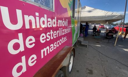 Éxito en campaña de esterilización en Saltillo